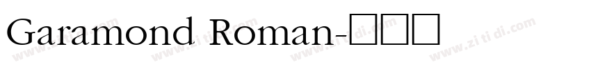 Garamond Roman字体转换